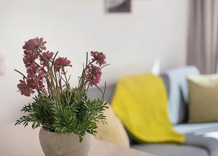 Casa Vincelina * طوستا ديل سيلونثيو